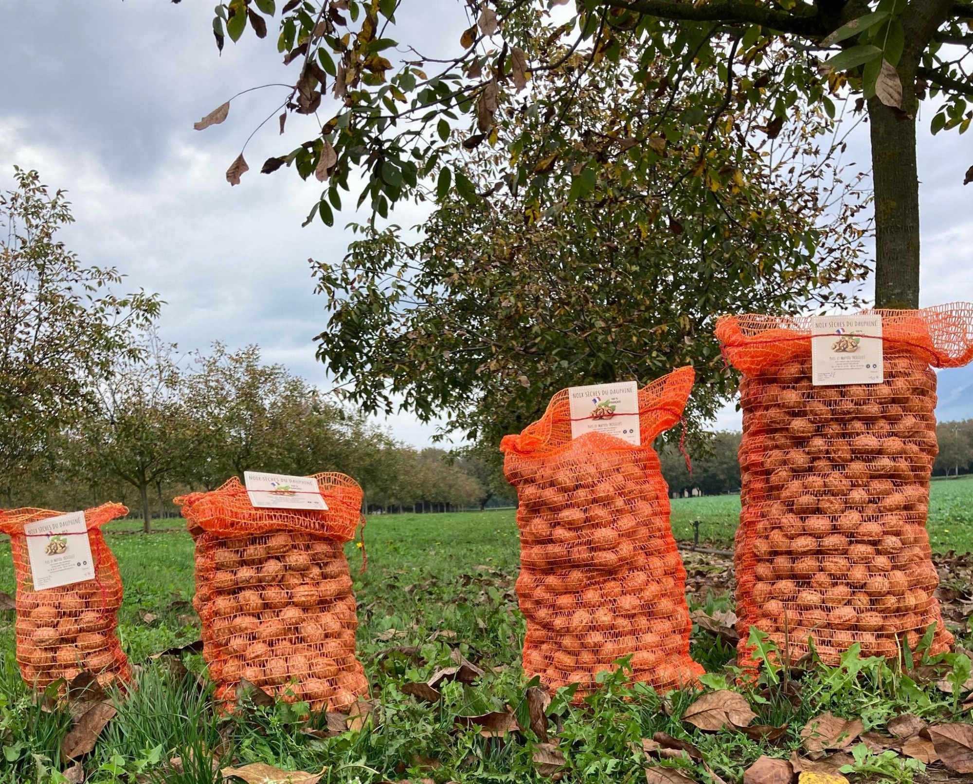 Sacs noix sèches