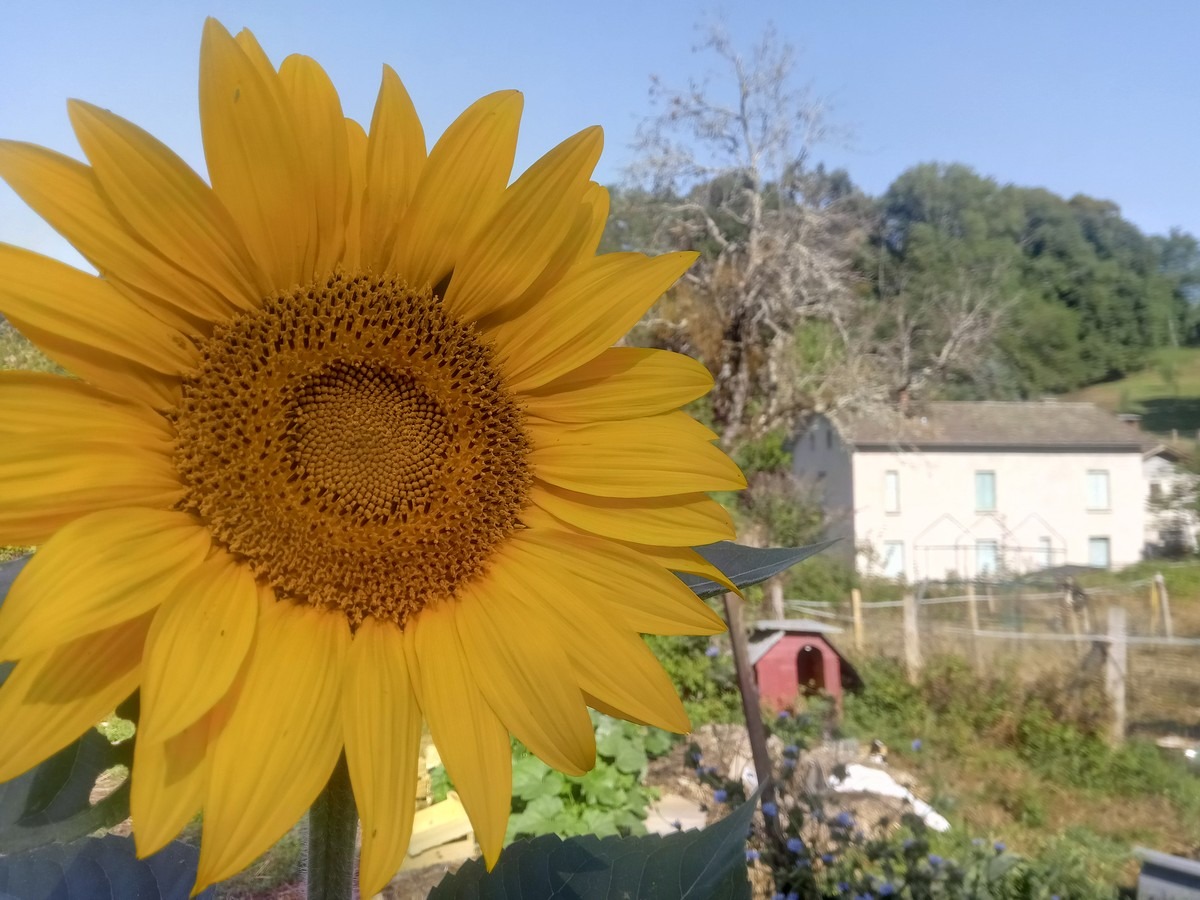 La Ferme du Moulin