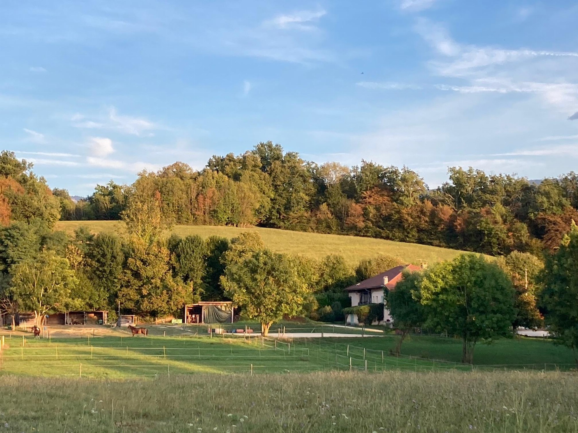 Maison, carrière et paddocks
