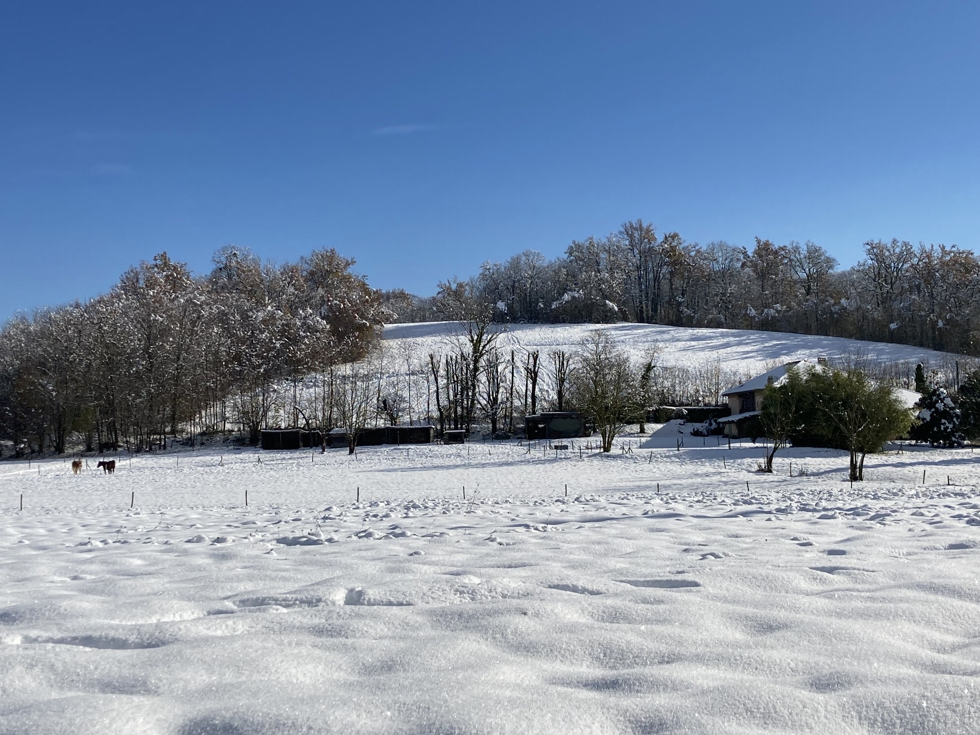 Le domaine sous la neige