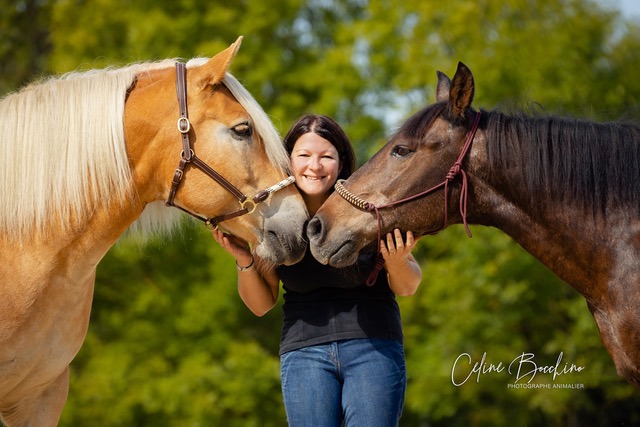 Sophie et les chevaux
