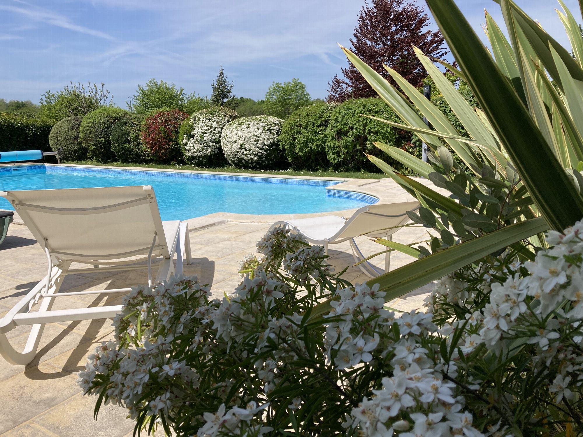 Espace détente piscine