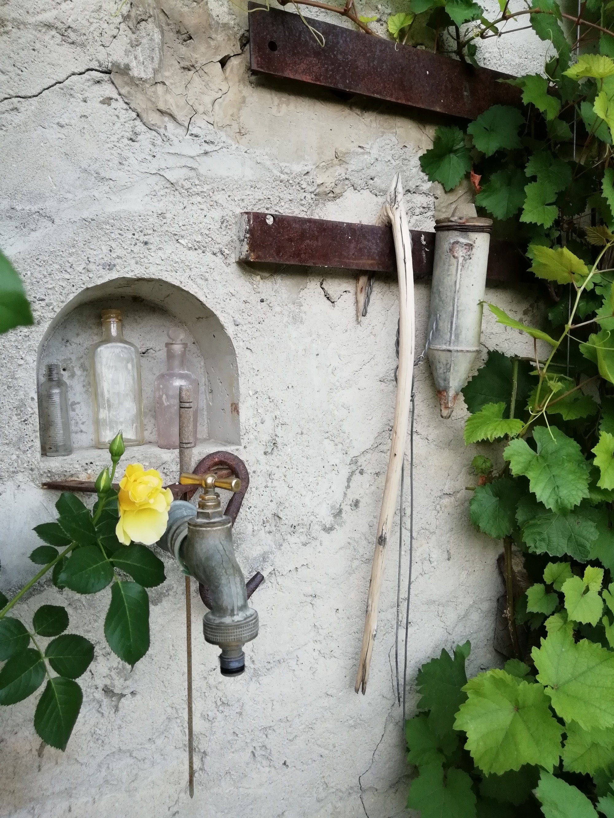 Le jardin
