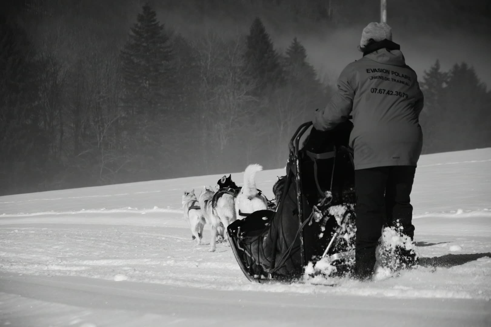 Baptême en traîneau à chiens au Col de Romeyère_Rencurel