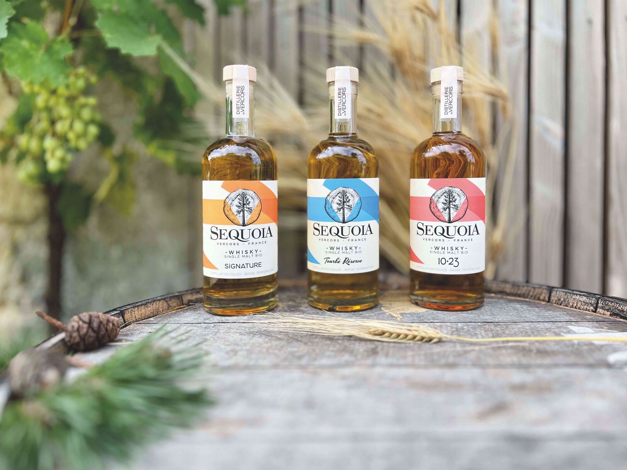 WhiskySéquoia_DistillerieduVercors
