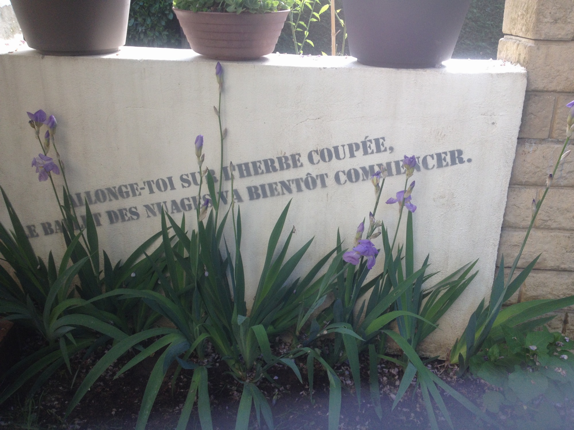 côté jardin