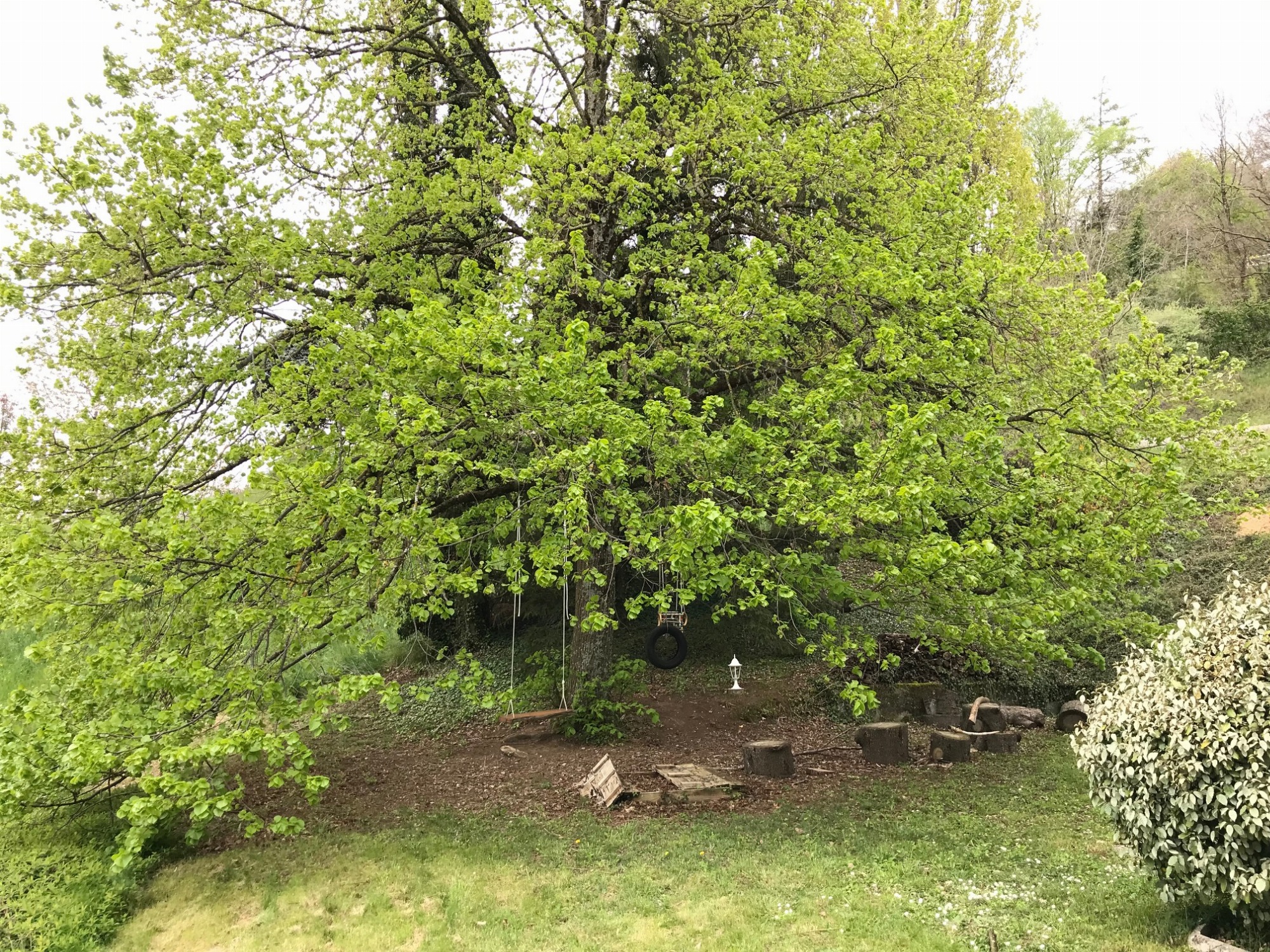Aire de jardin réservée