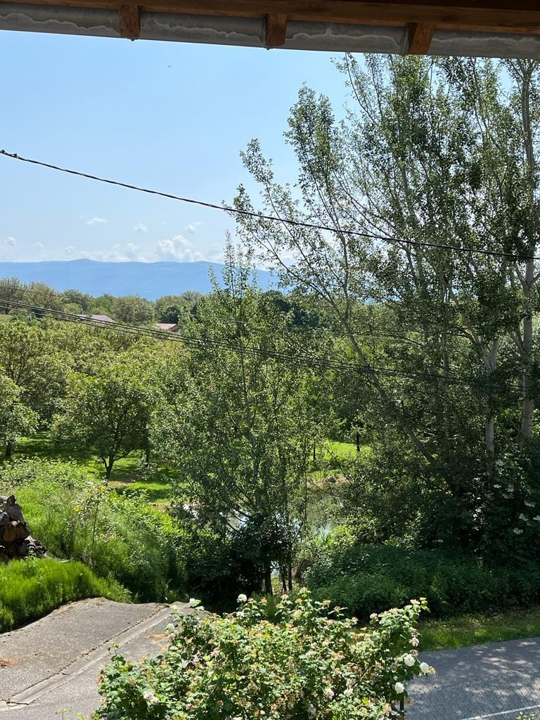Vue sur noyeraie et chaine du Vercors