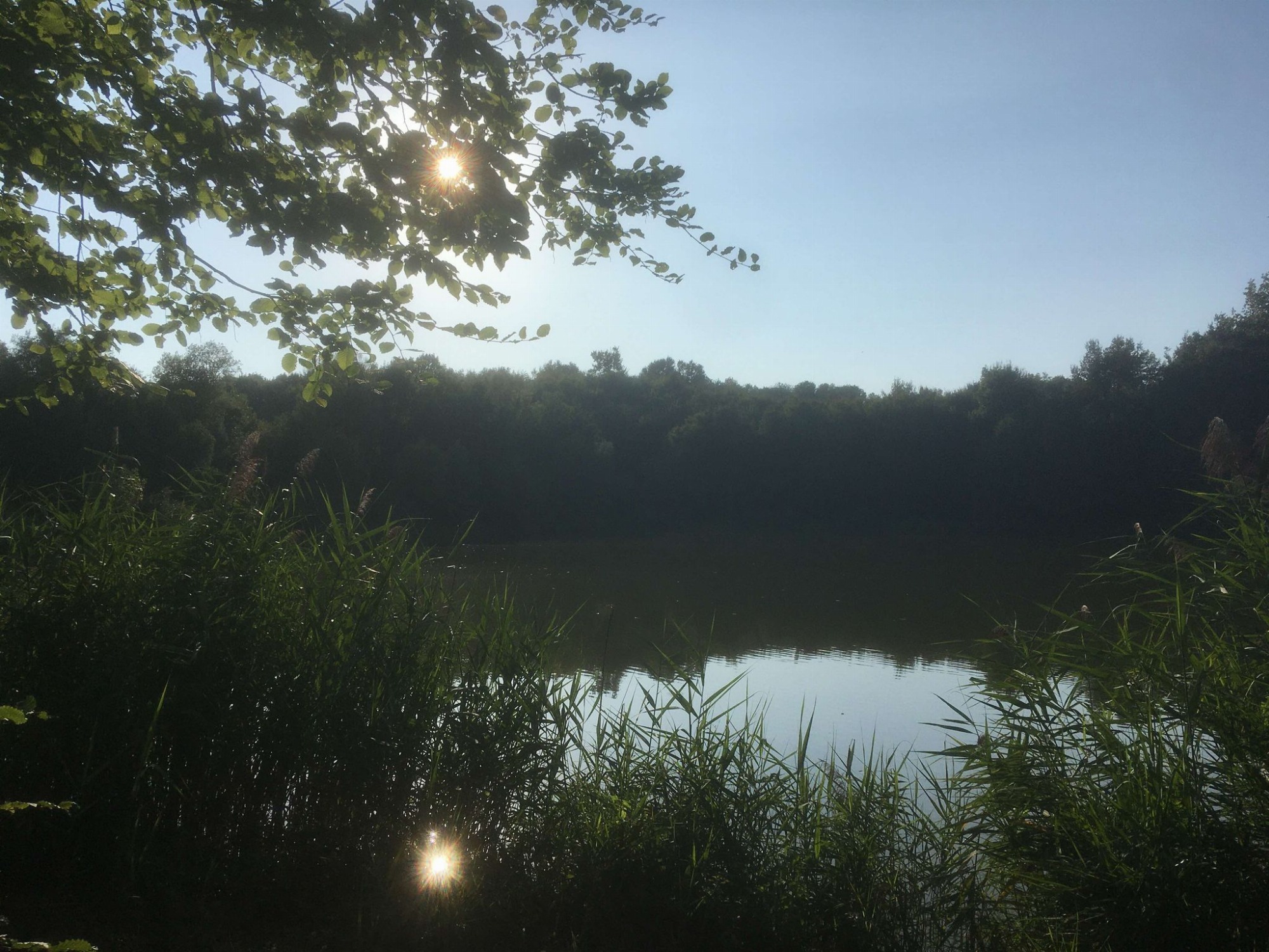 Lac