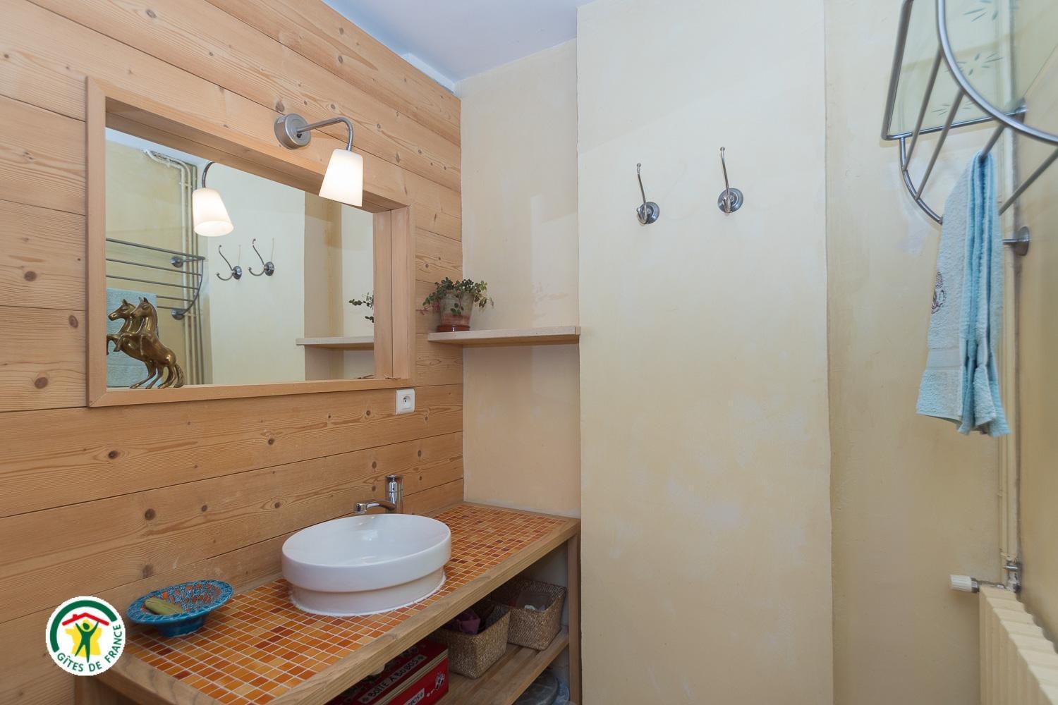 Salle d'eau-wc au rdc