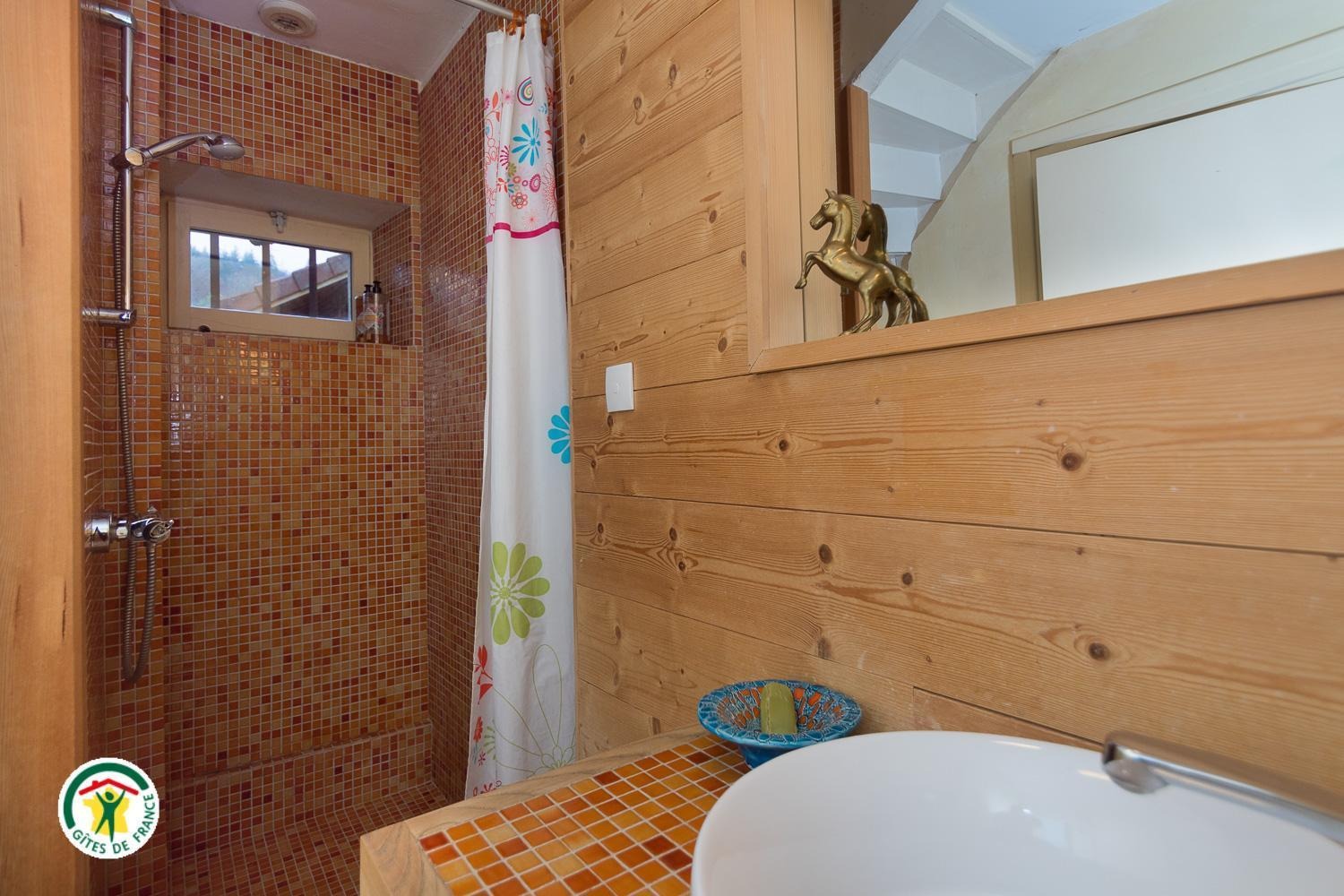 Salle d'eau-wc au rdc