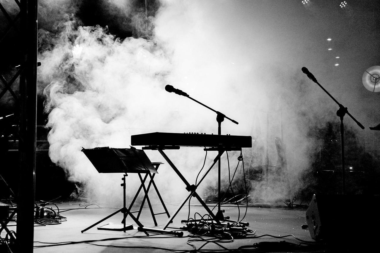 Fête de la musique_Chatte
