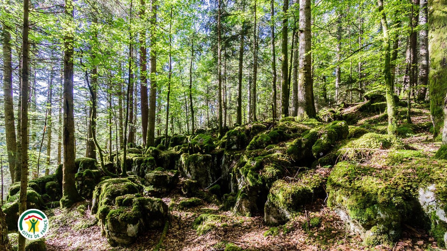 vercors