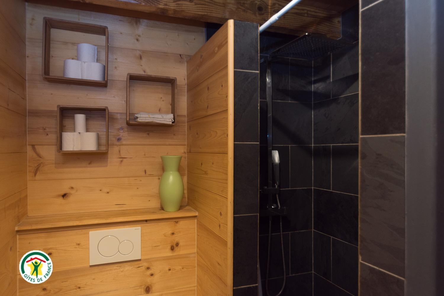 Salle d'eau-wc au RDC