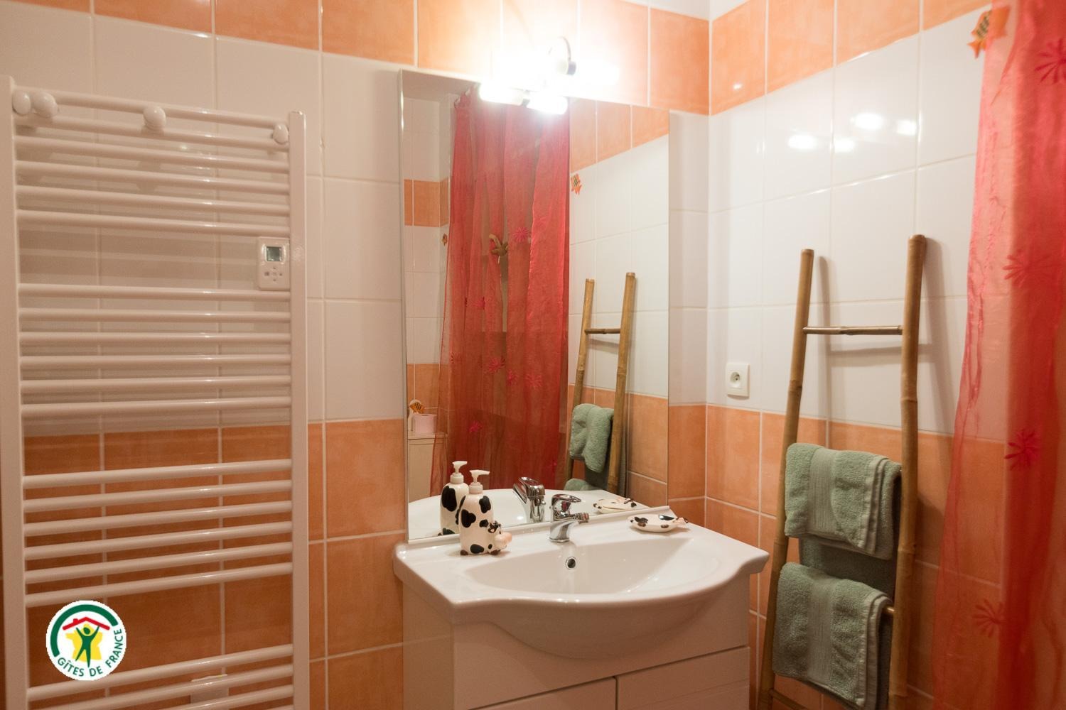 Salle d'eau-wc au rdc
