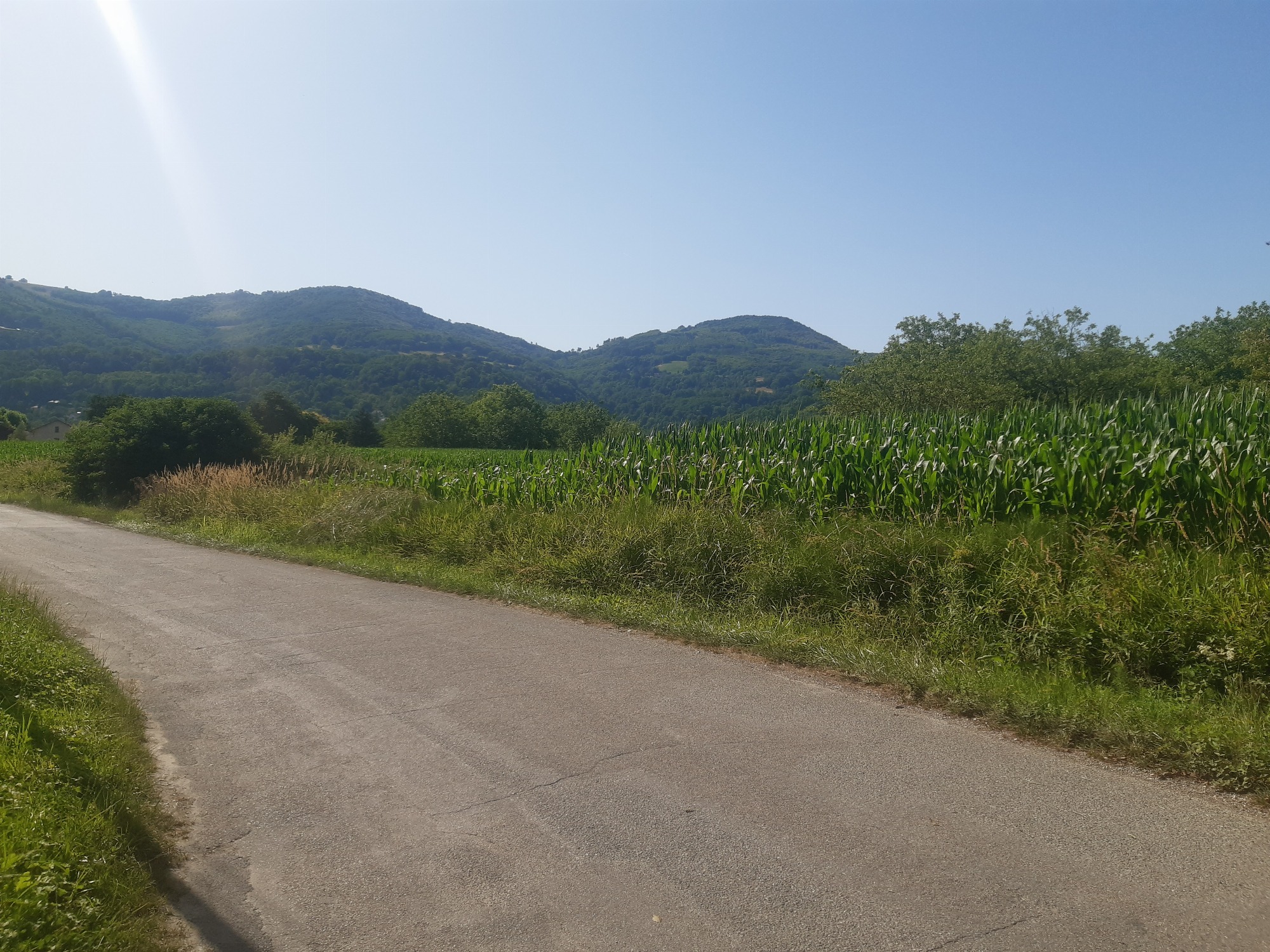 les collines des Chambaran
