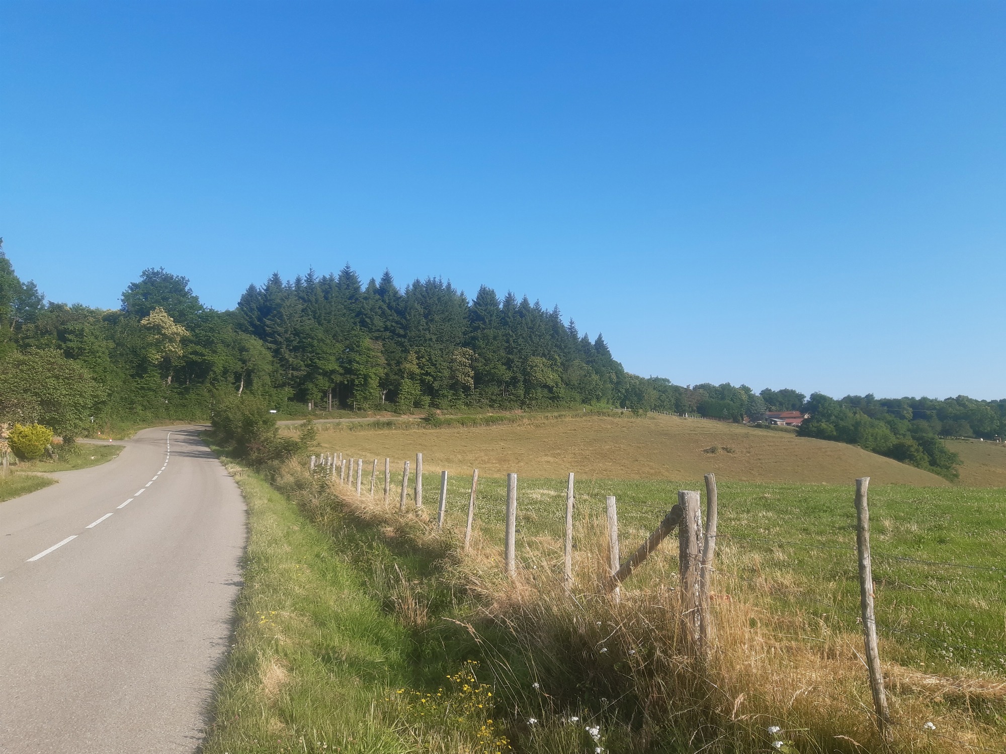 Orée de la foret des Chambran
