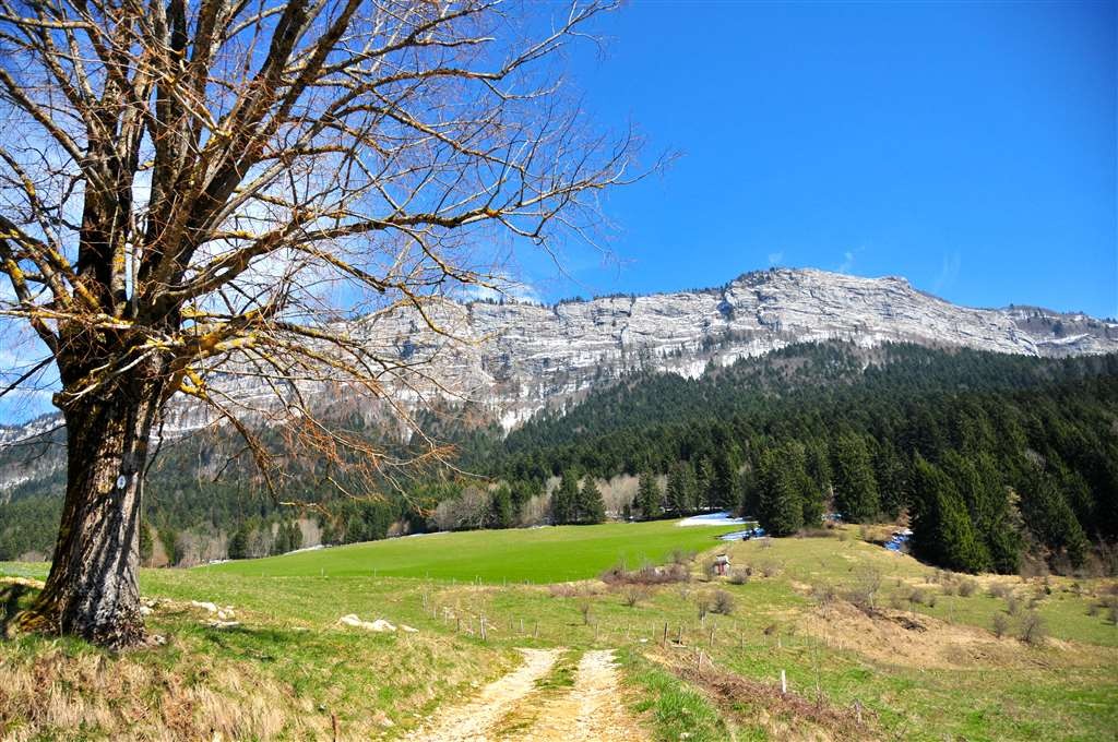 un petit chemin qui passe devant le chalet et invite à la promenade