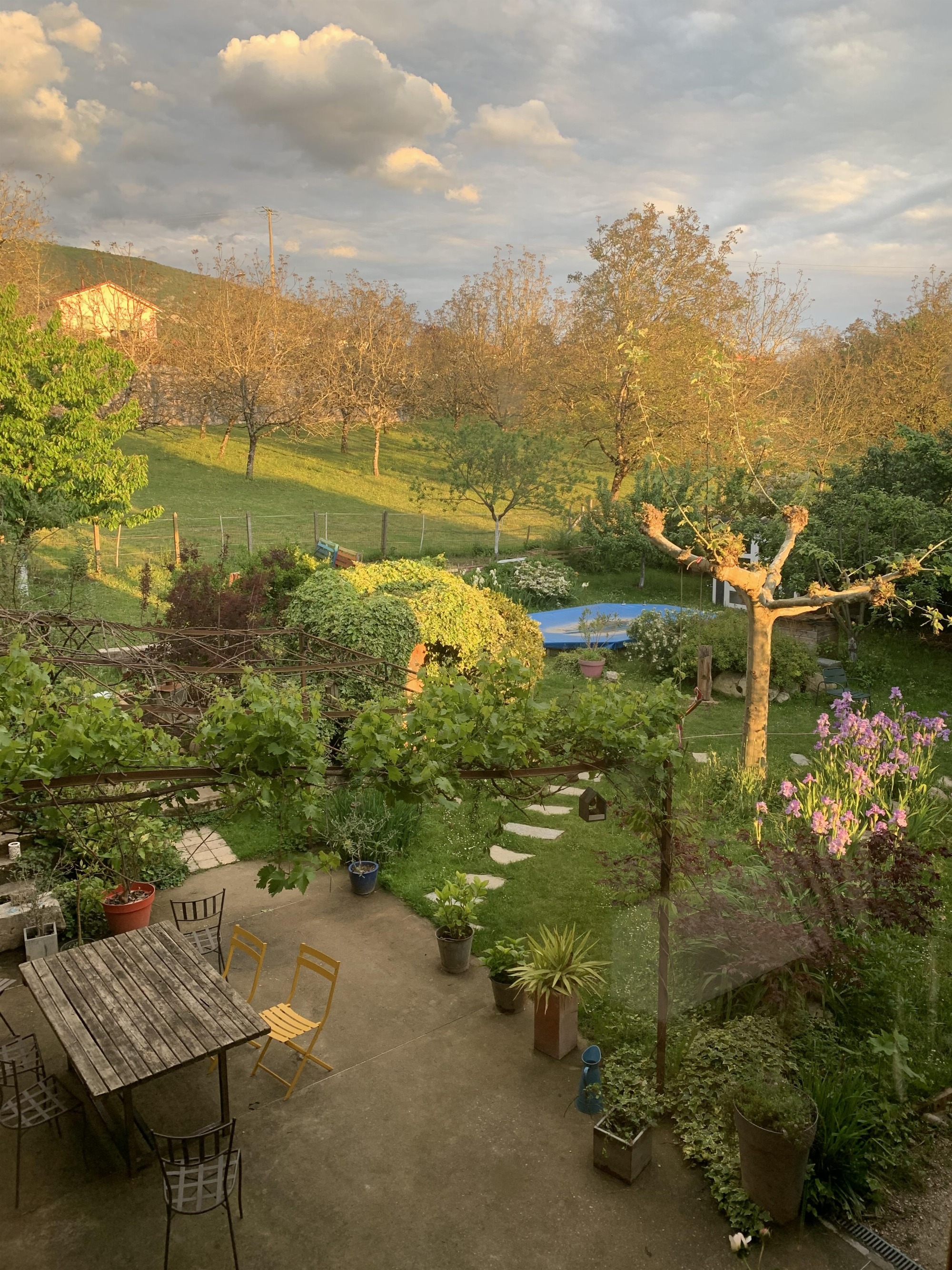 Vue depuis la terrasse