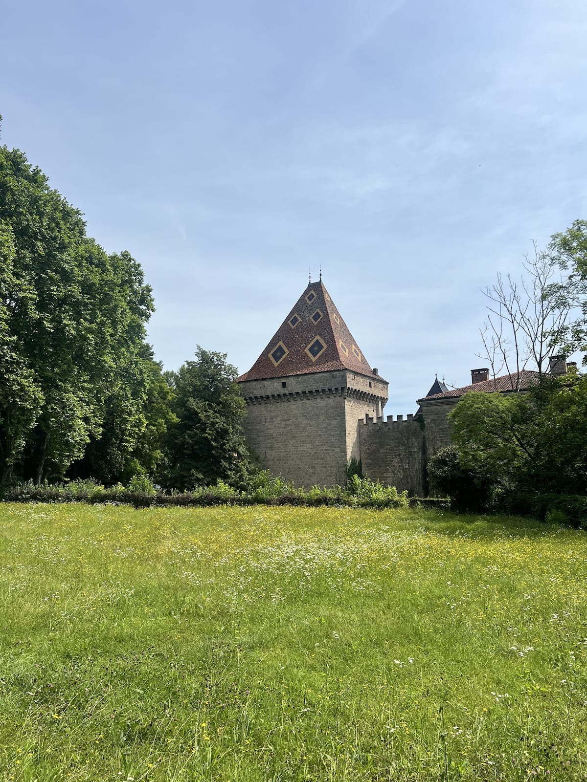 Château de la Sône_La Sône