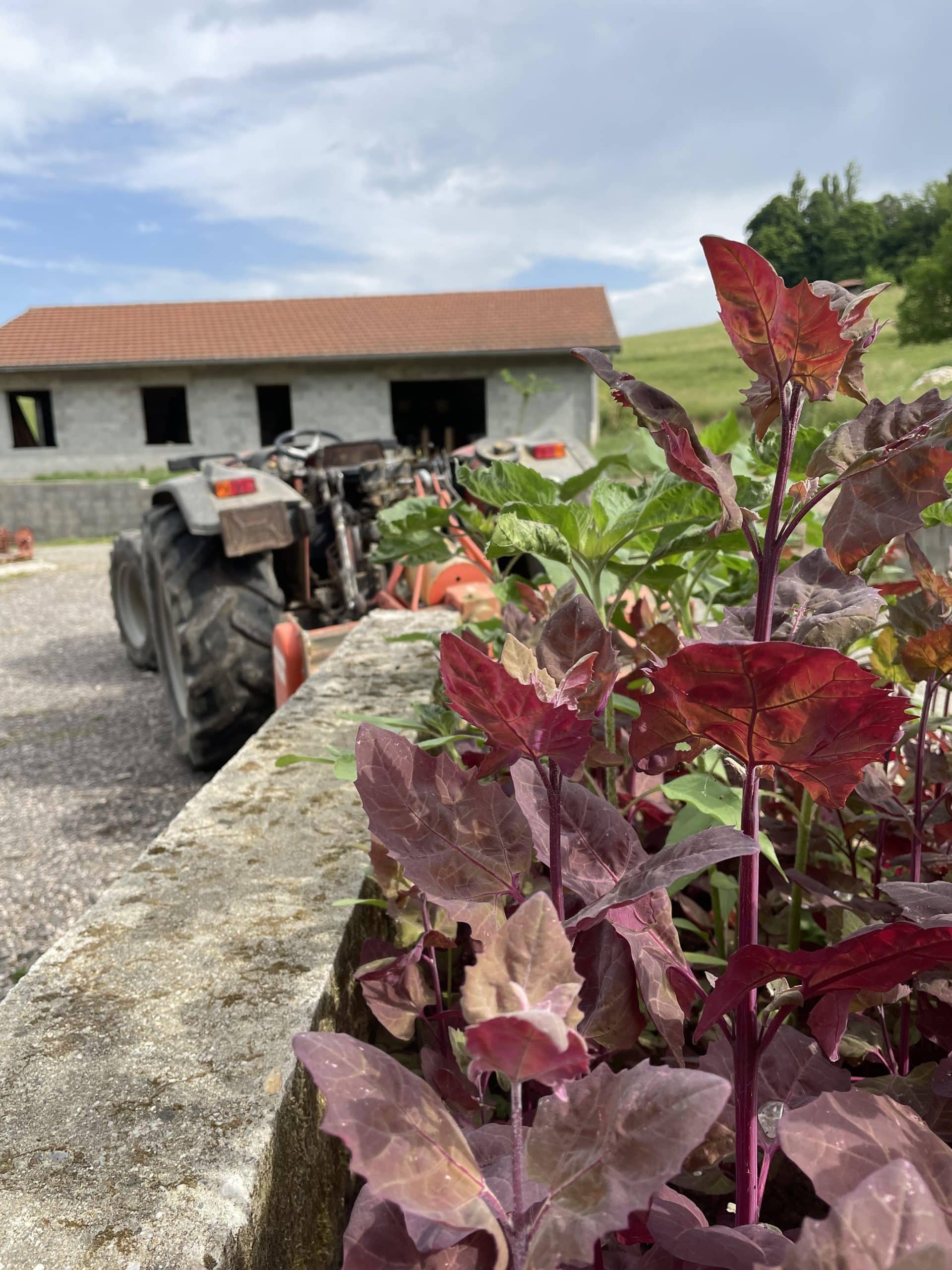 Le Maraîchamps_Chevrières