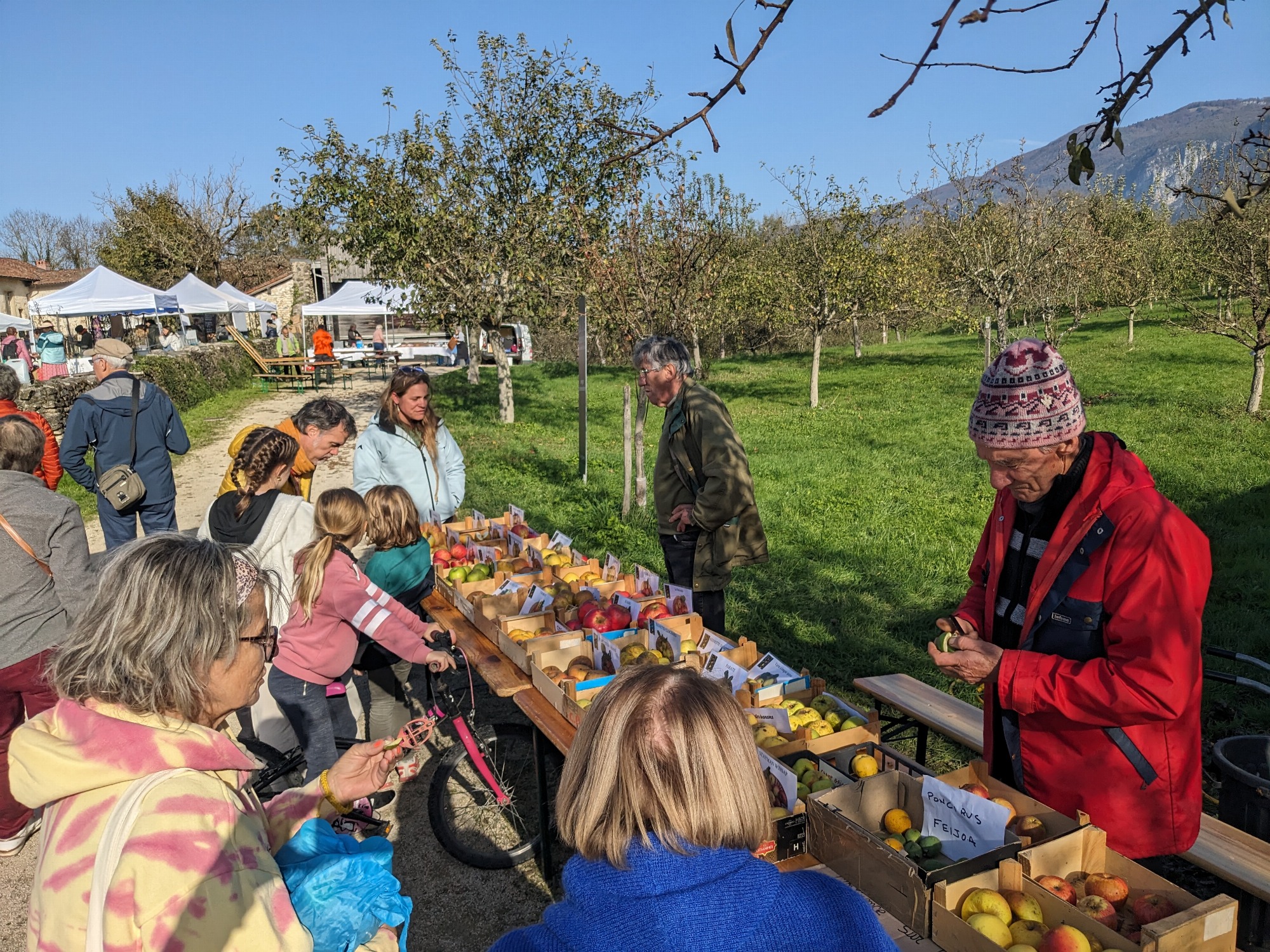 stand_pommes_avec_p_feugier.jpg