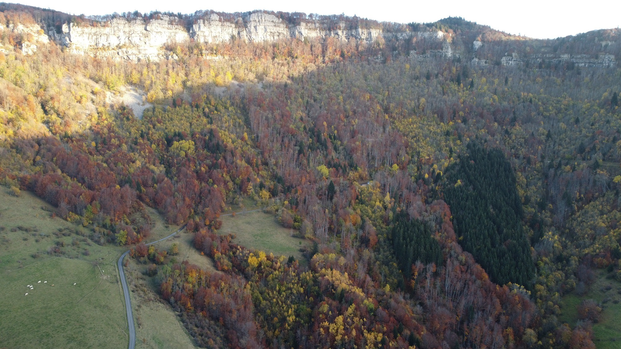 Vue sur les falaises