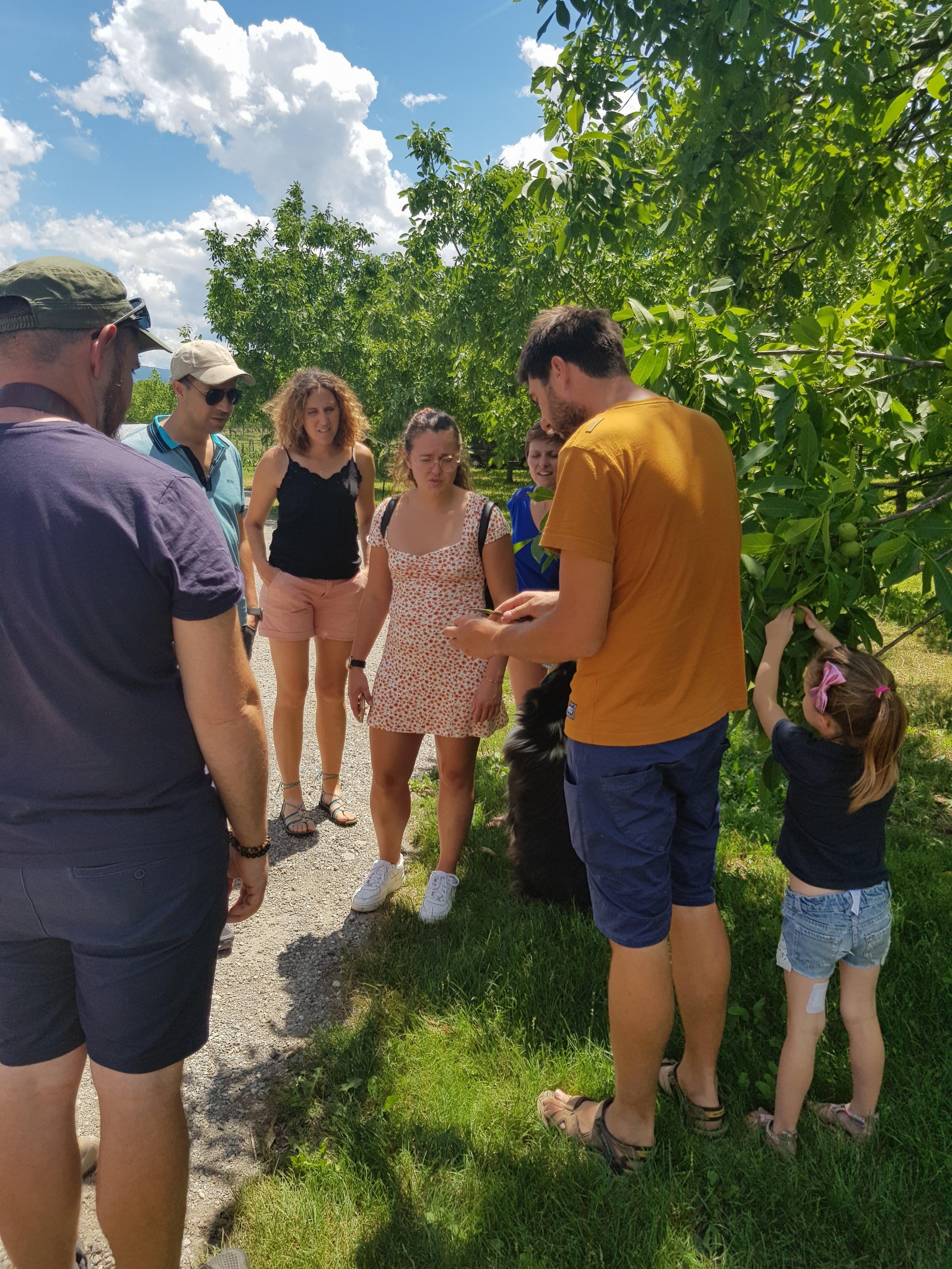 Groupe d'adultes et d'enfants en visite dans les noyers de La Belle Noix