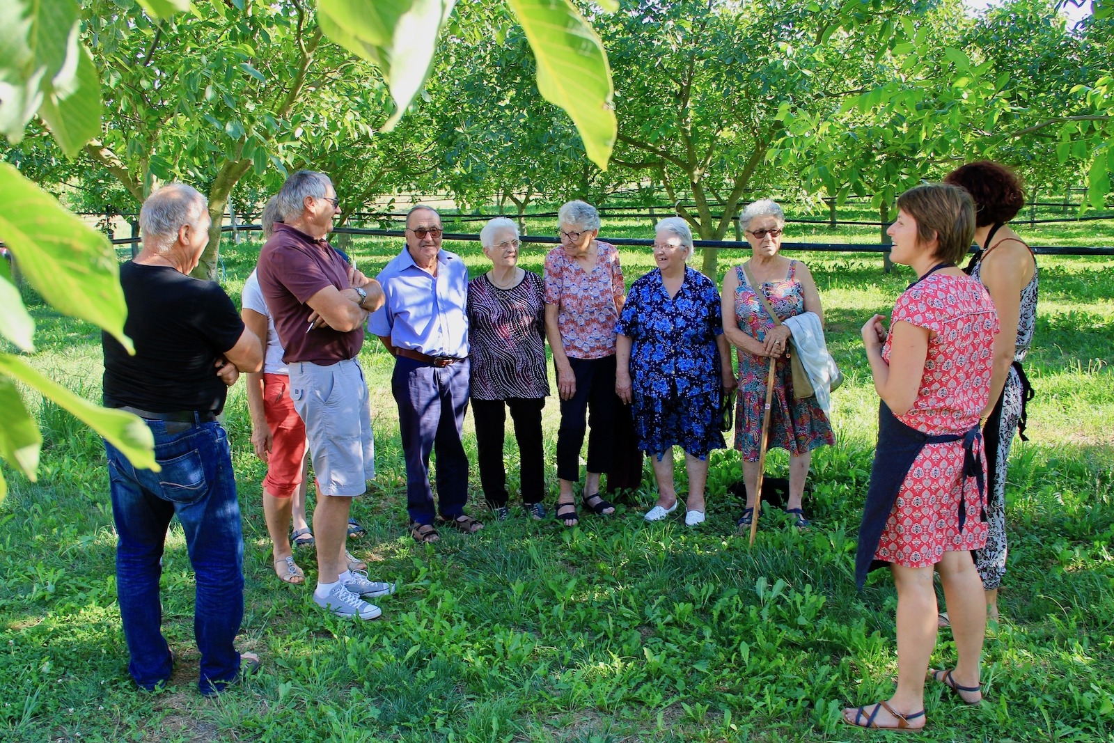 Groupe de personnes en visite dans les noyers de La Belle Noix