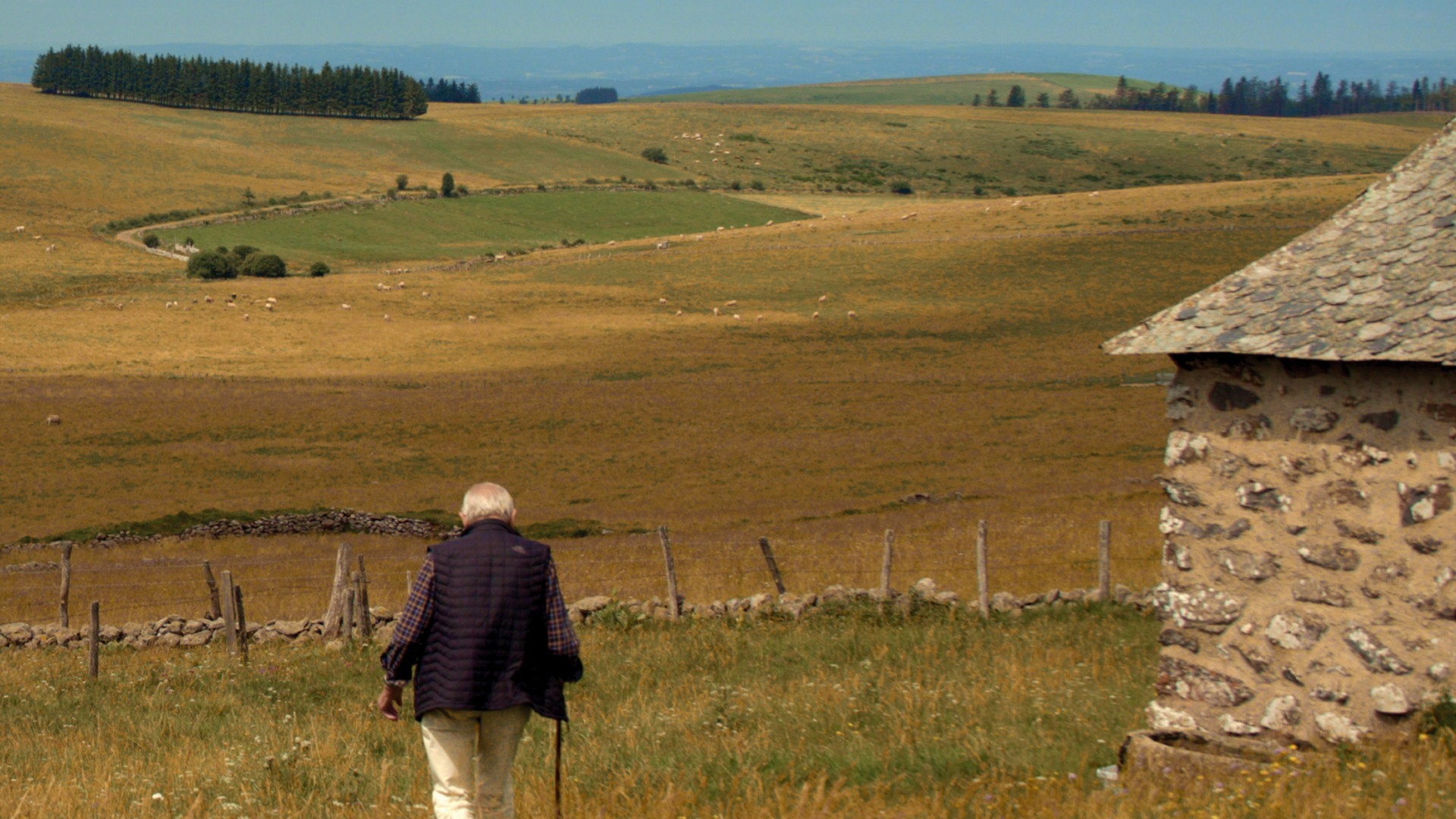 ciné débat, Eleveurs d'horizons : le pastoralisme à l'epreuve du temps