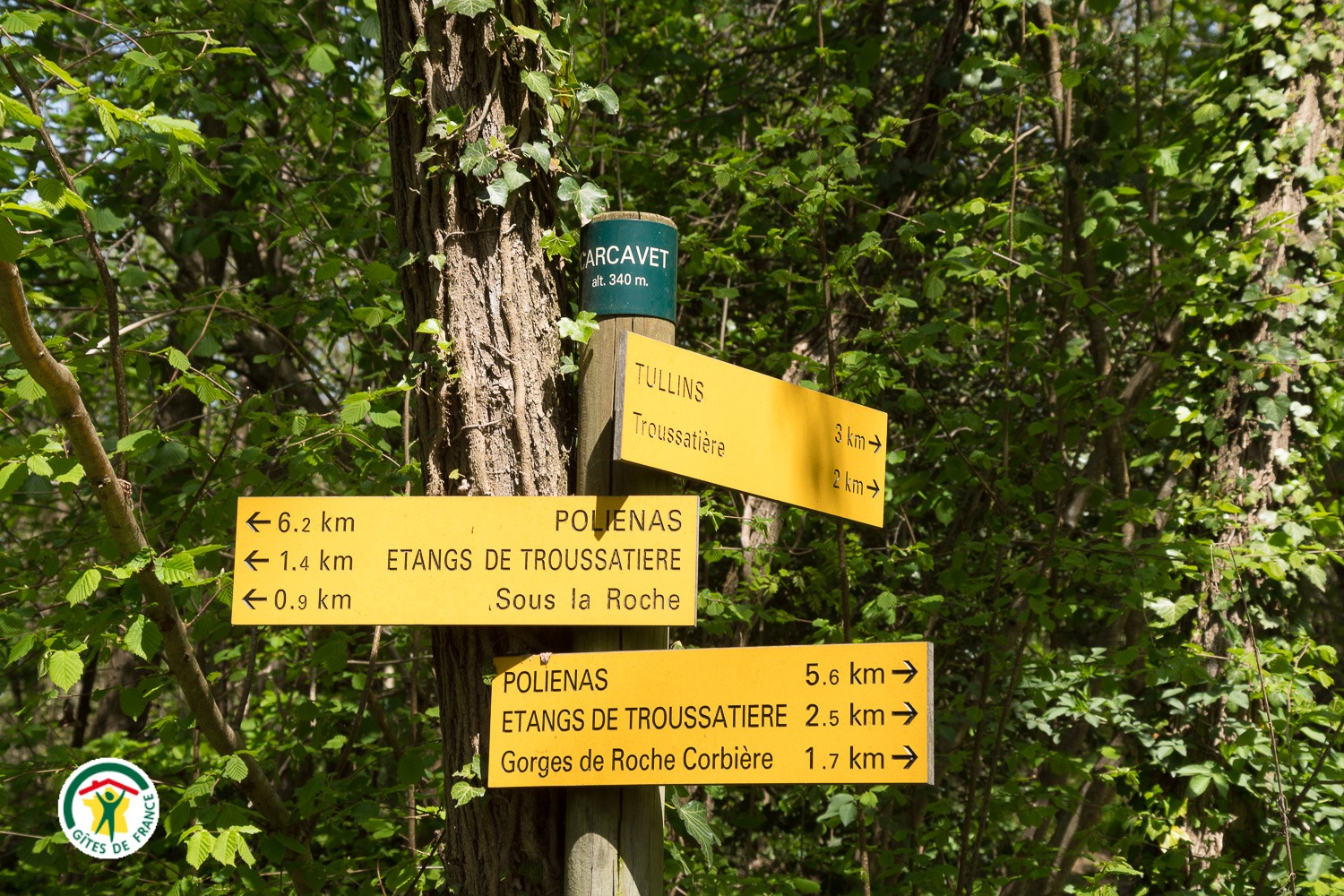 Nombreux sentiers de randonnée à proximité