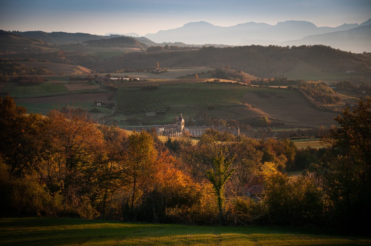 Coteaux de Saint-Antoine-l'Abbaye dans les Chambaran à l'automne
