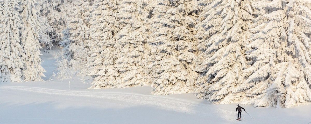 Skieur de fond au milieu des arbres blancs de la forêt des Coulmes dans le Vercors