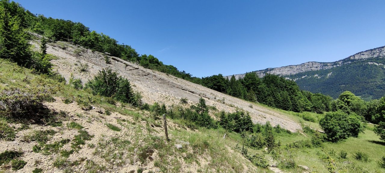 Vallée Fossile Des Rimets Office Tourisme Saint Marcellin Vercors Isère 