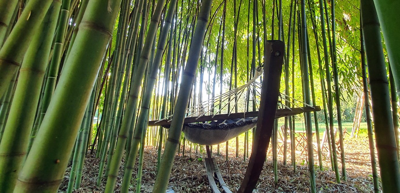 hamac détente dans la bambouseraie dans la maison d'hôtes la romanetière à saint-quentin-sur-isère au pied du vercors