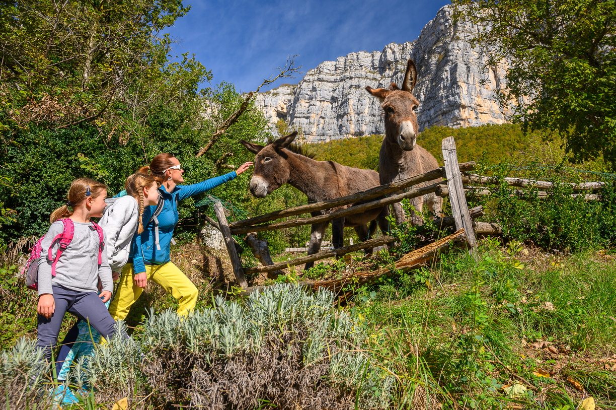famille en train de caresser un âne au pied de la montagne
