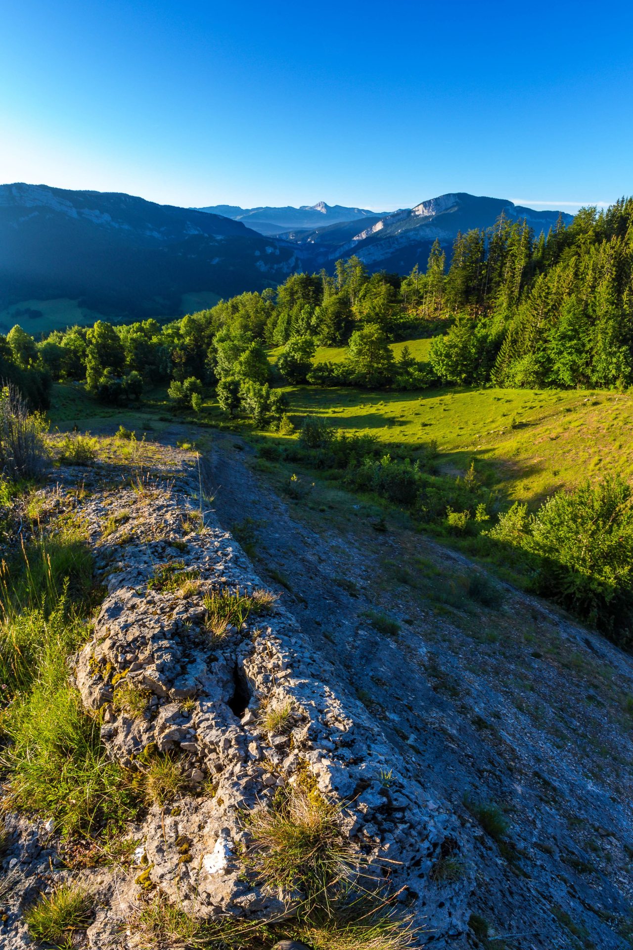 paysage vallée fossile des rimets espace naturel sensible dans le vercors