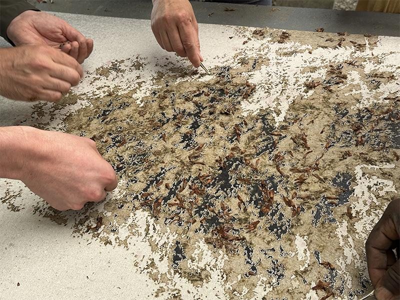 Main en traind e construire une oeuvre d'art au site médiéval du couvent des carmes à beauvoir en royans
