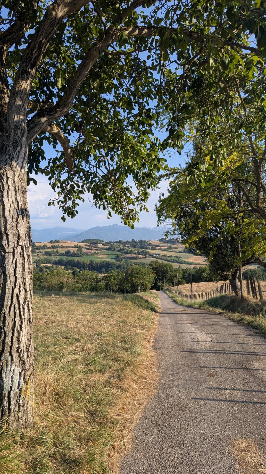 vues vallonnées chambaran drome des collines depuis saint-antoine-l'abbaye