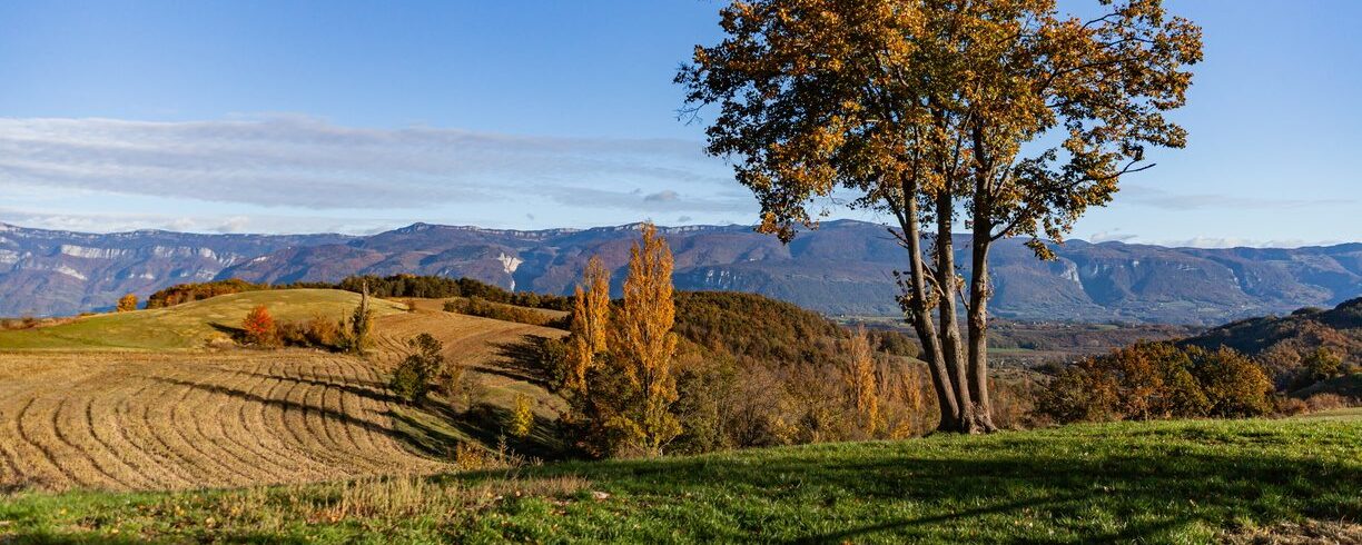 Auberives-en-Royans et sa campagne automnale