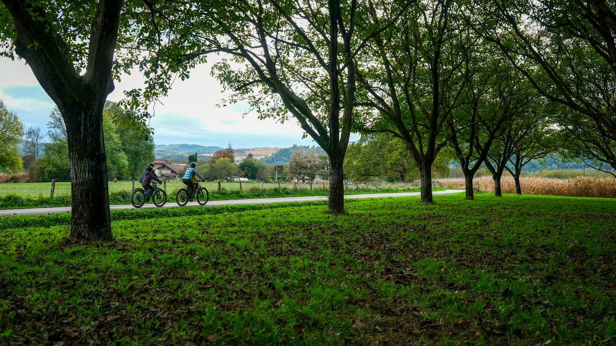 circuit vélo en famille au pied du vercors en isère sous les noyers