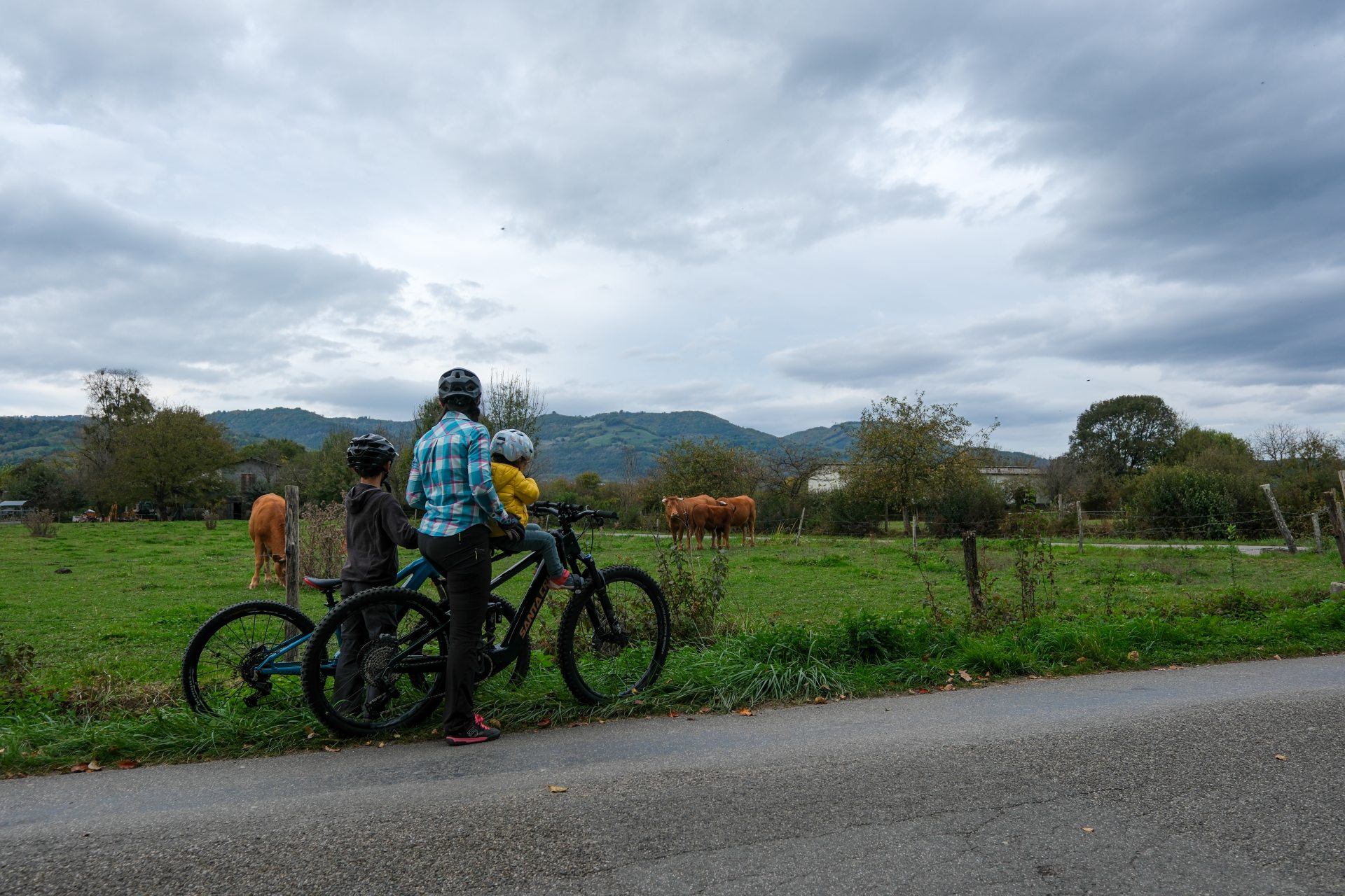 famille à vélo qui regarde les vaches