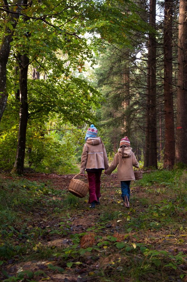 Enfants dans la forêt de Chambaran