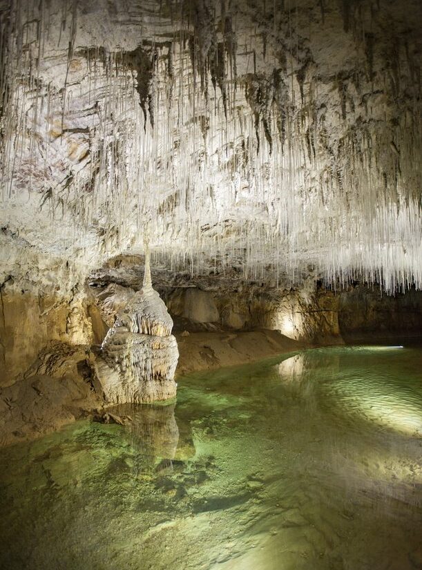 grotte de choranche illuminée avec ses bassins cristallins et ses fistuleuses au pied du vercors