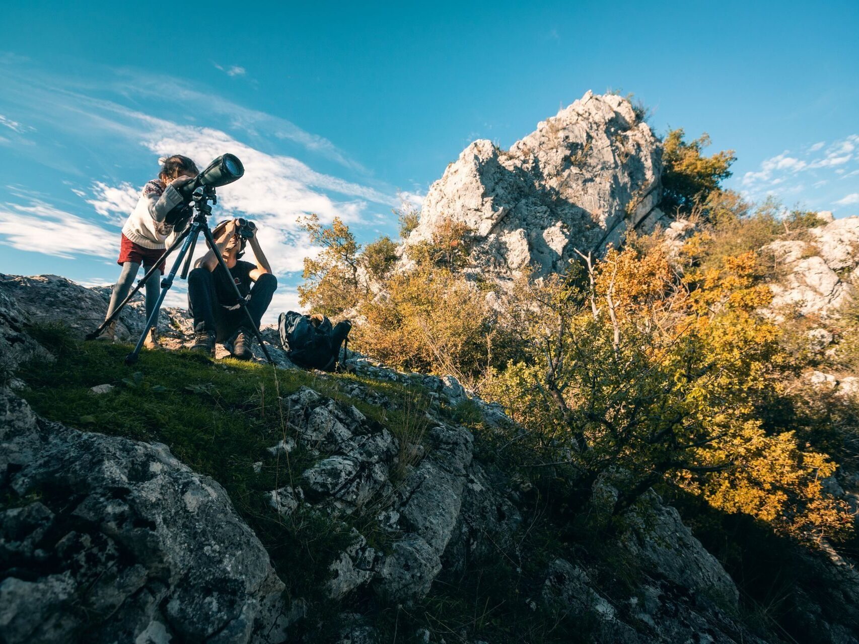 Observation ornithologique avec Ornithovercors dans le massif du Vercors à Saint-Marcellin Vercors Isère