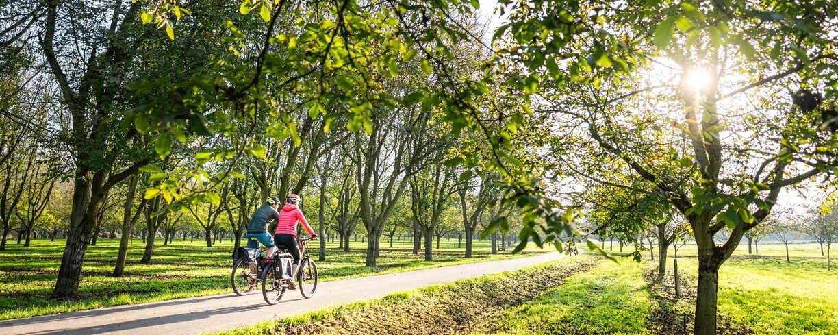 vélo sur la belle via sous les noyeraies